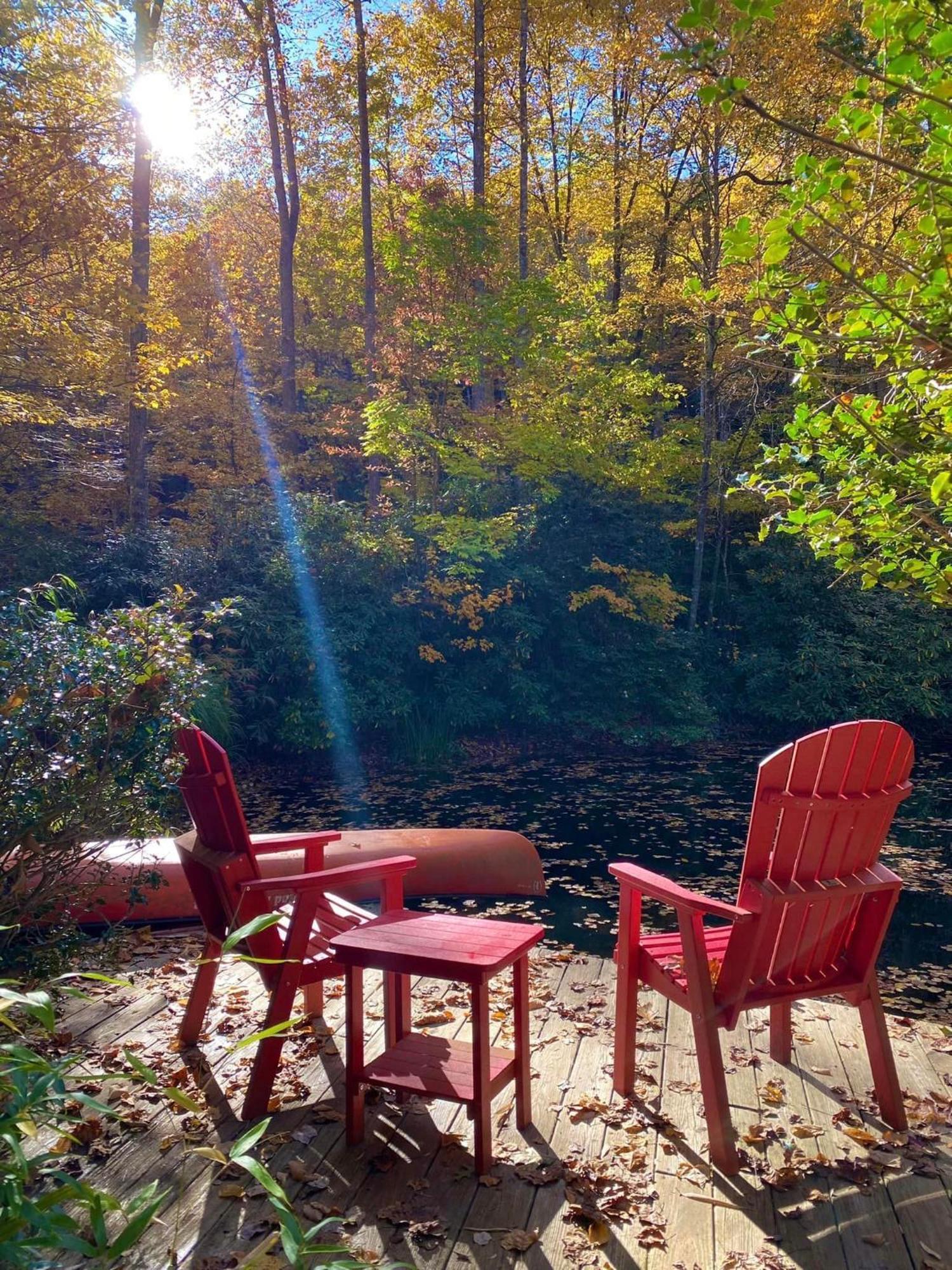 Maison d'hôtes Hideaway At Harvest Moon à Sylva Extérieur photo